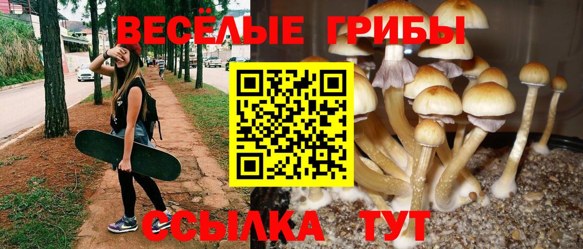 Псилоцибиновые грибы мухоморы  Галлюциногенные грибы мицелий  Малоярославец  Вход с VPN 