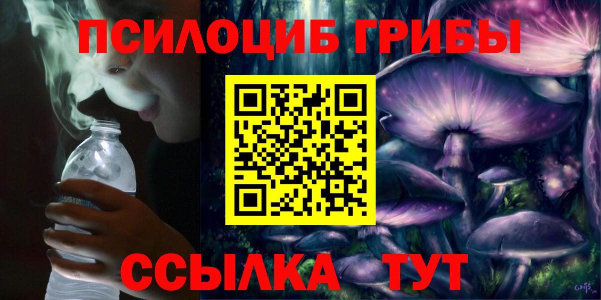 Псилоцибиновые грибы Psilocybe Малоярославец
